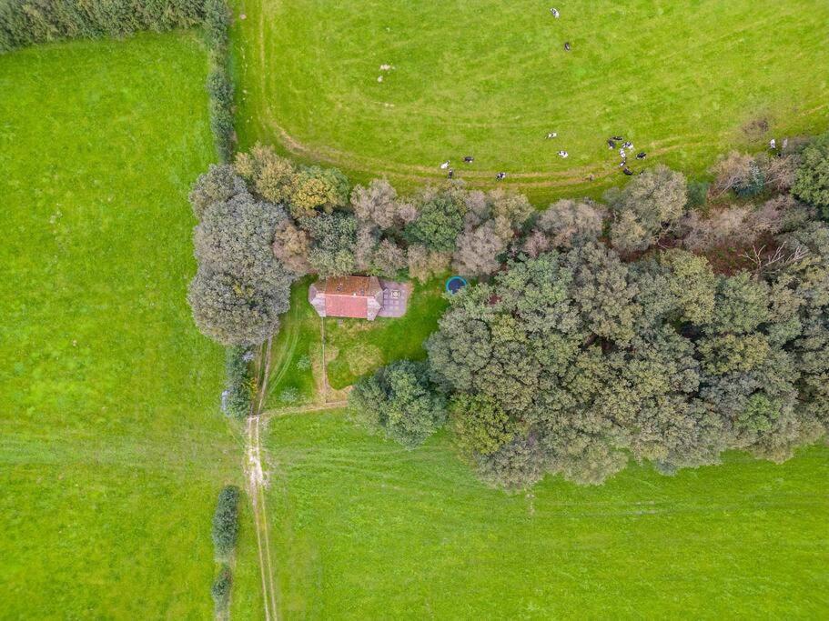 Prachtig Vrijstaand Familiehuis Op Groot Perceel Scherpenzeel Kültér fotó